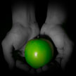 Green Apple 633