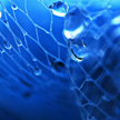 waterdrops and net 390